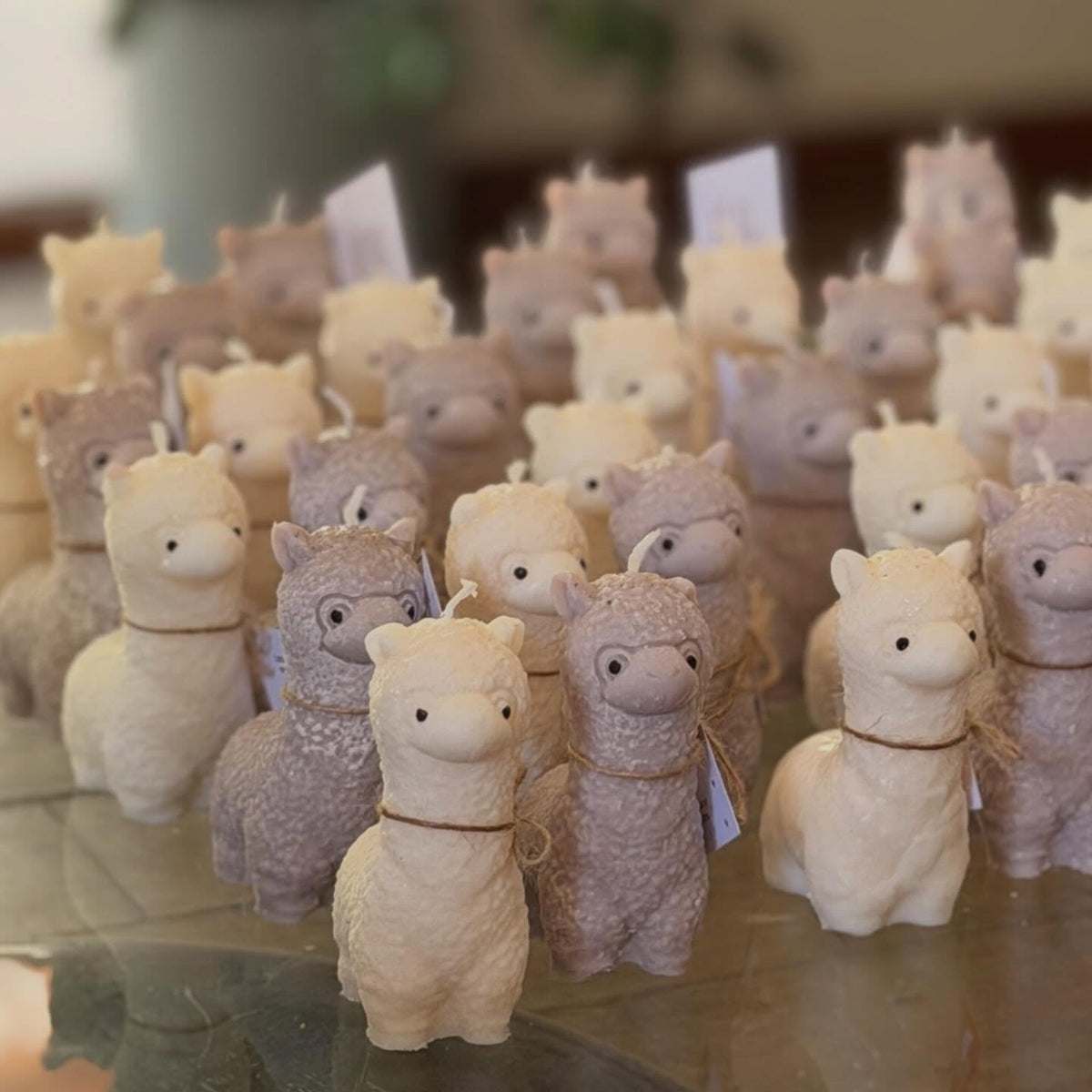 10 Velas Baby Shower - Alpaca